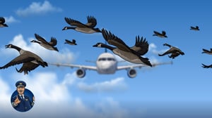 Scandlearn-design-system-article-talkingheads-example-inset-2