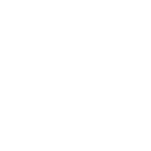 scandlearn-client-phi-white